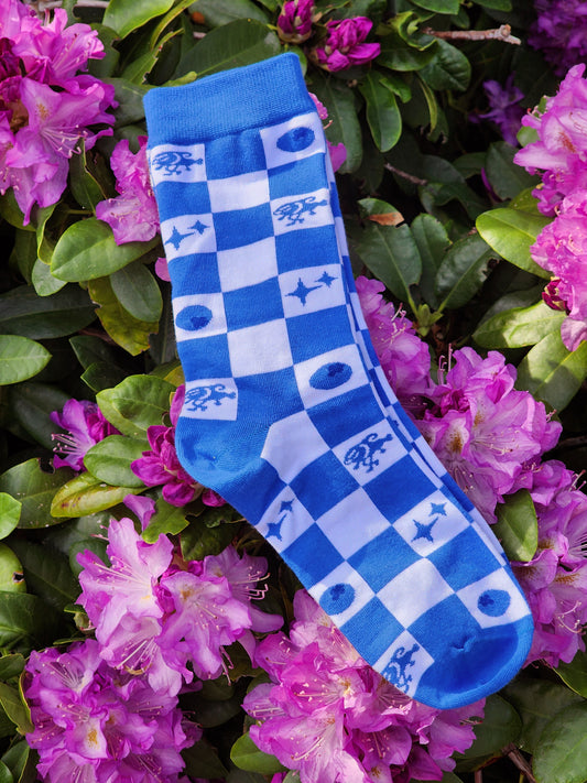Cyano Checkered Socks